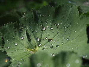 perlendes Wasser